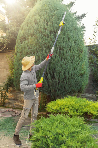 Best Artificial Turf Installation  in Tierra Verde, FL